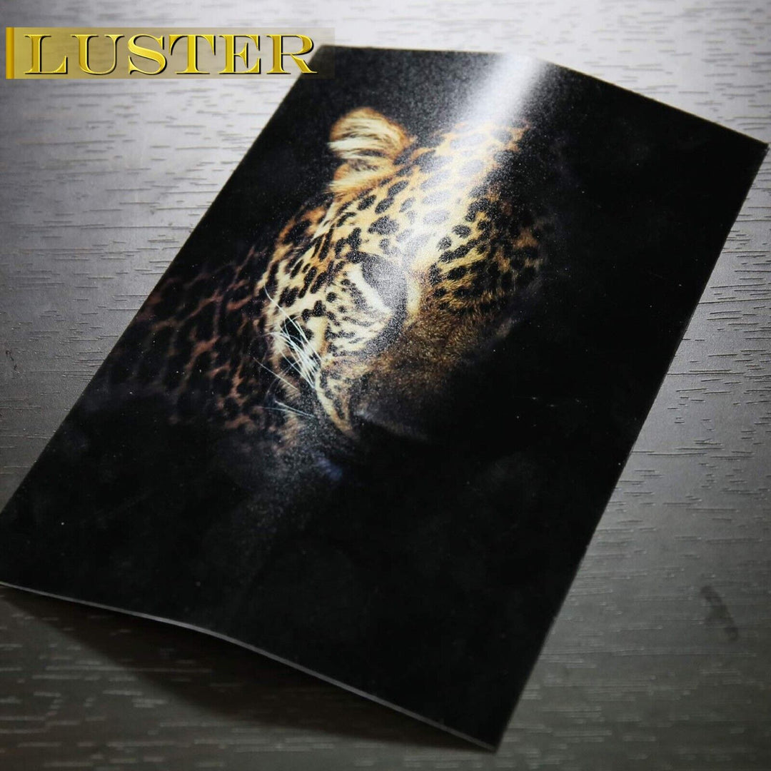 Luster Polyester Paper Sticker A-SUB 8.5x11